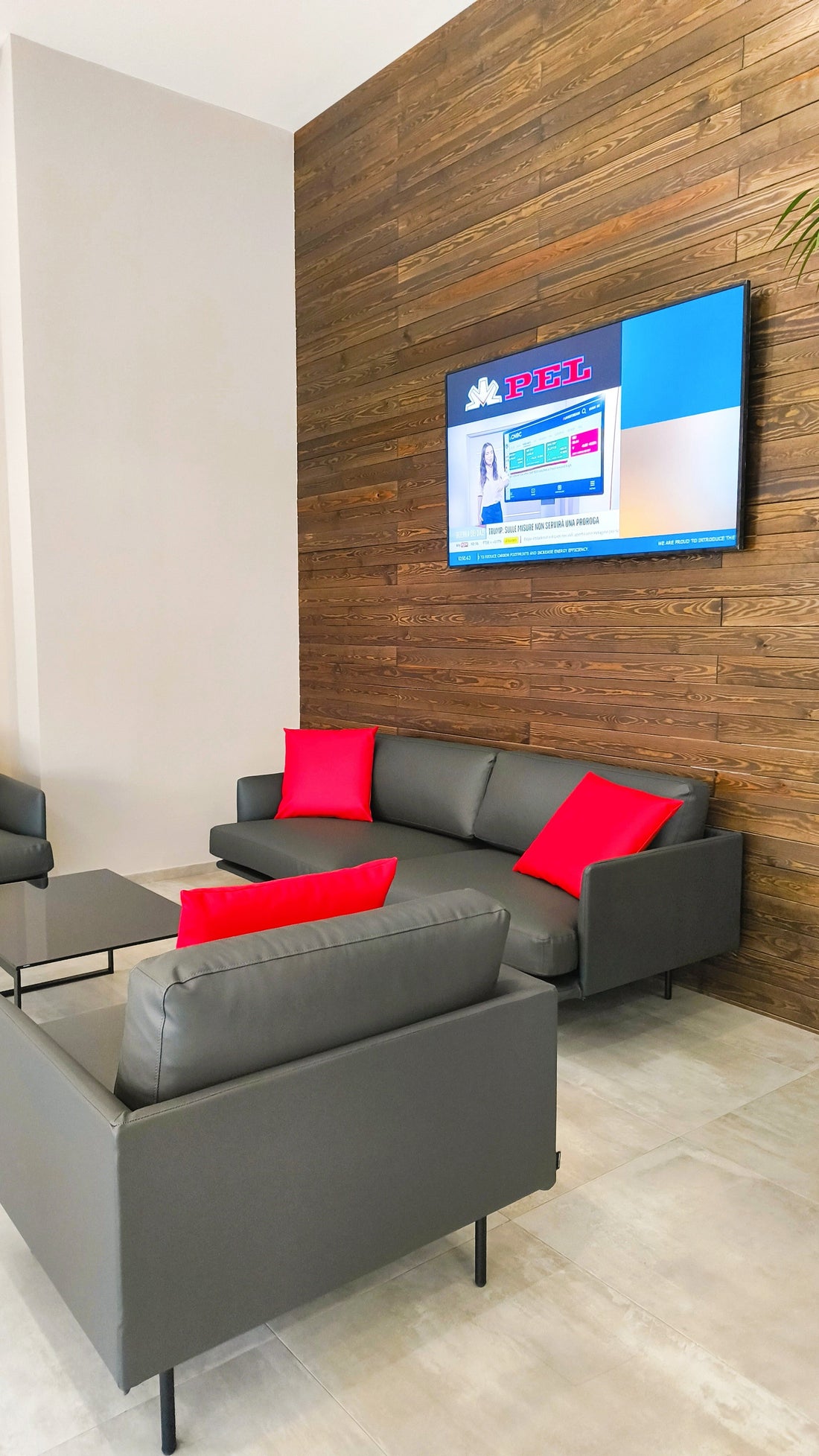 PEL: Installazione di un Monitor Samsung 65" ad Alta Luminosità