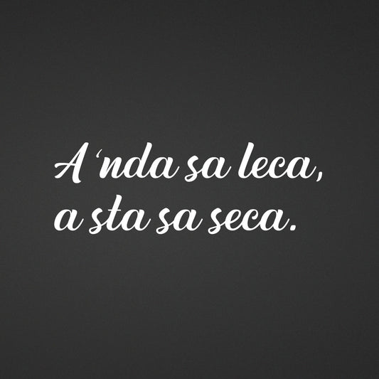 Adesivo "Dialetto bresciano" 'A nda sa leca, a sta sa seca' - Dialetto bresciano autentico ZIPPOPIU.it
